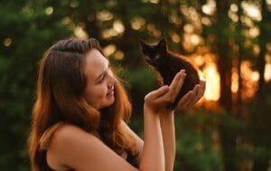 evening, kitten, nature, woman, sunset, animal, girl, light, bokeh, cute, outdoors, pet, cute, pet, pet, pet, pet, pet