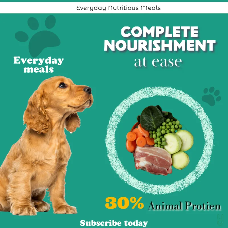 Dog Meal Subscription - 30% Animal Proteins
