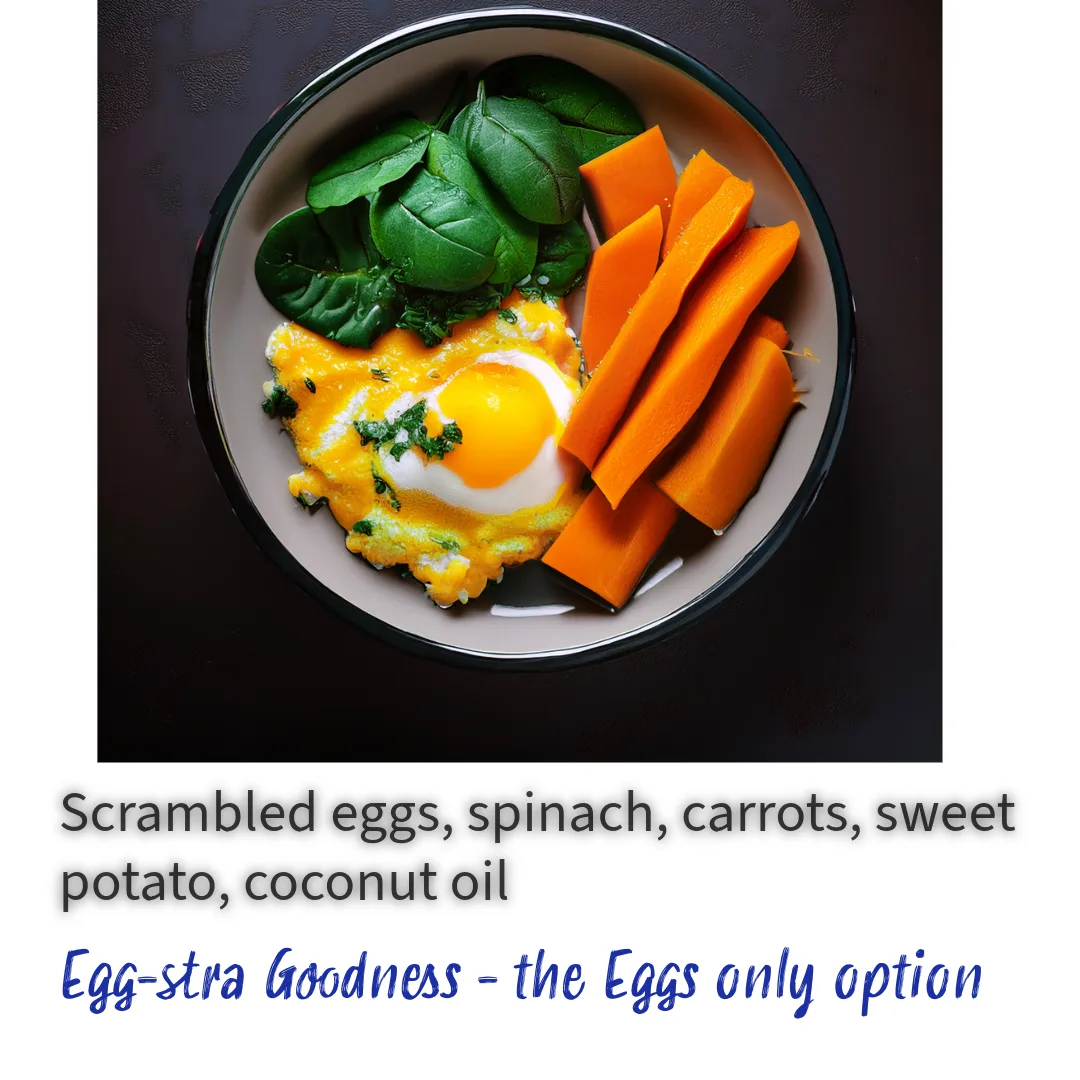 Why choose this? Fresh, balanced meals delivered every morning, tailored to your pet’s needs. No more guesswork—just wholesome nutrition daily. Key Ingredients: Scrambled eggs, spinach, sweet potato, carrots, coconut oil Seasonal Adaptation: Winter: Nutrient-dense tubers Summer: Light veggies for hydration Benefits: ✔ High in protein ✔ Great vegetarian option ✔ Gentle on digestion