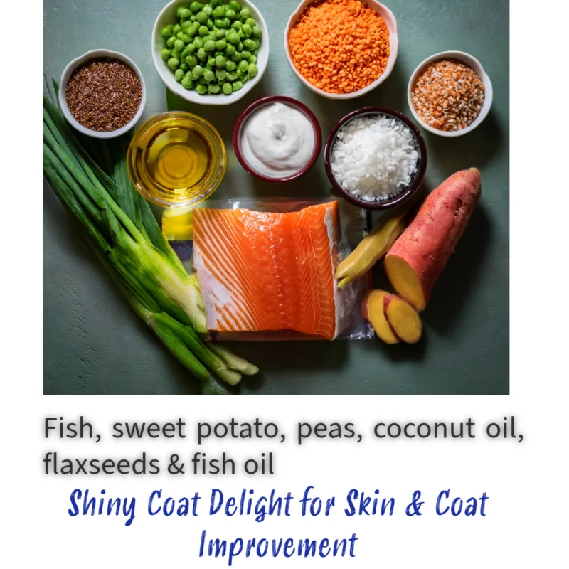 Why choose this? Fresh, balanced meals delivered every morning, tailored to your pet’s needs. No more guesswork—just wholesome nutrition daily. Key Ingredients: Salmon, sweet potato, peas, coconut oil, flaxseeds, fish oil Seasonal Adaptation: Winter: Omega-rich fats & warming herbs Summer: Light protein with cooling veggies Benefits: ✔ Promotes a shiny coat ✔ Reduces skin irritation ✔ Supports healthy shedding