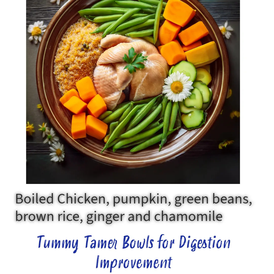 Tummy Tamer Bowls (Digestion Improvement)